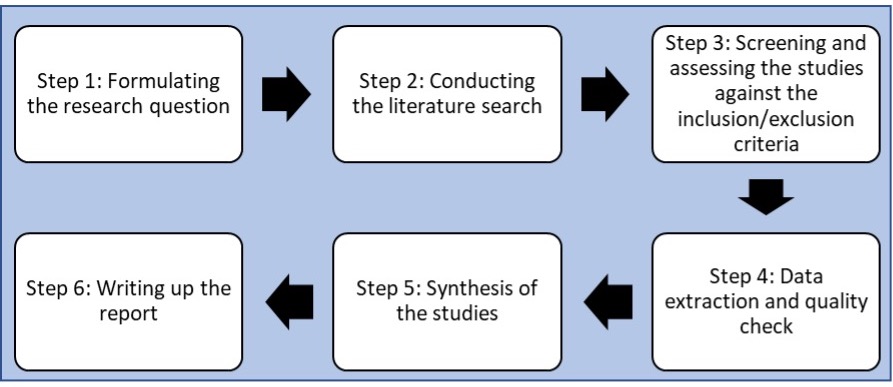 Figure 1. The systematic review process